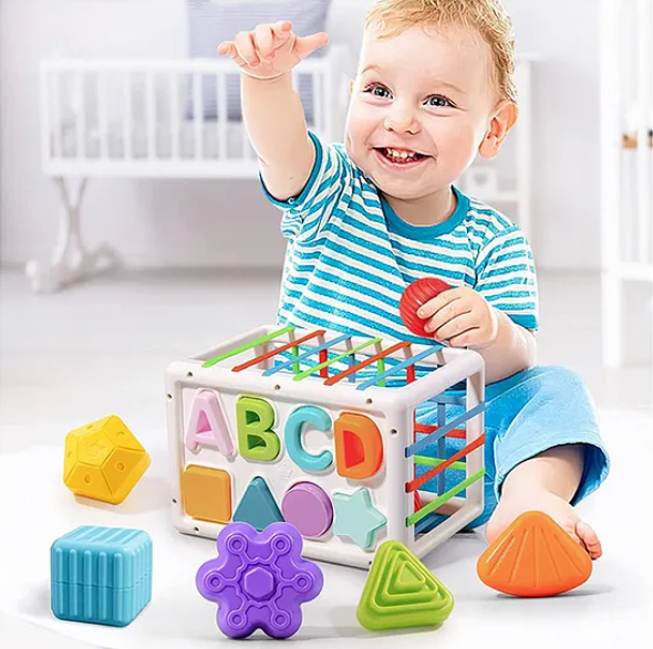 Alphabet Shape Sorter Baby Blocks