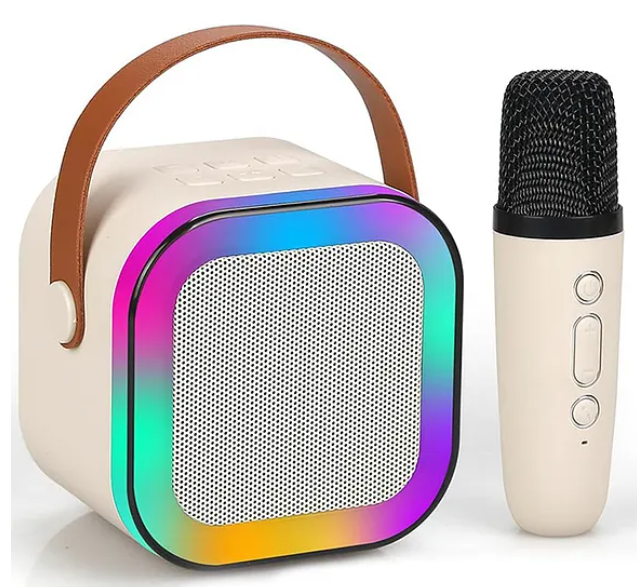 Karaoke Machine for Kids Adults Mini Portable Blue-Tooth Karaoke Speaker with Wireless Microphone and Dynamic Lights Birthday Gift Home KTV Outdoor Travel - Colors May Vary
